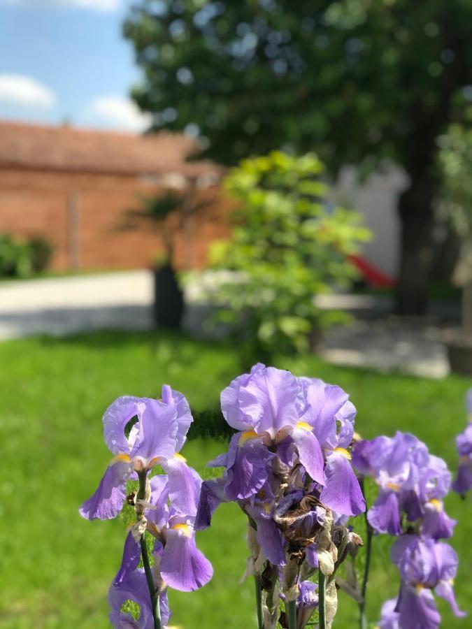 Eden Apartman Algyo Kültér fotó